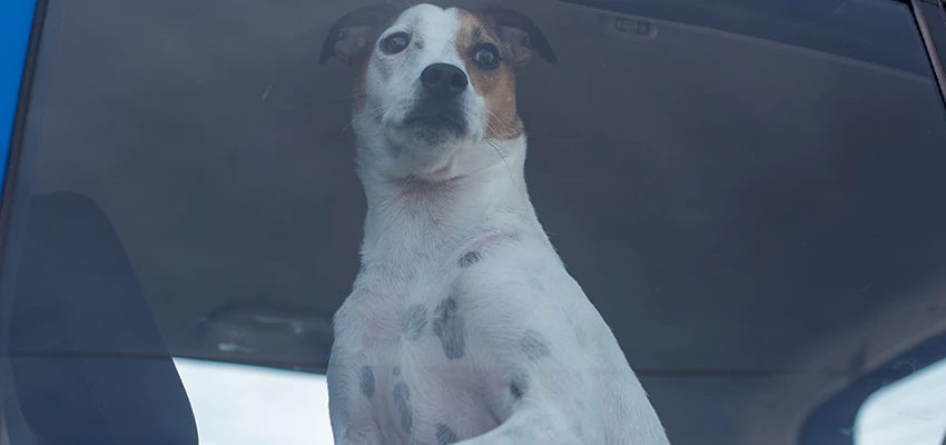 Car Lockout Solutions in Gilroy, California